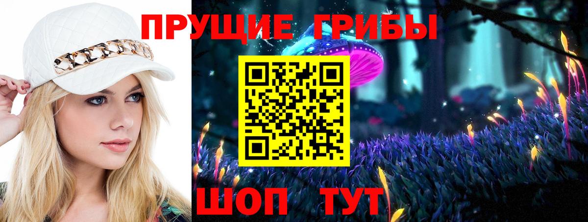 Галлюциногенные грибы Psilocybine cubensis  цена   Мичуринск  Вход с VPN 